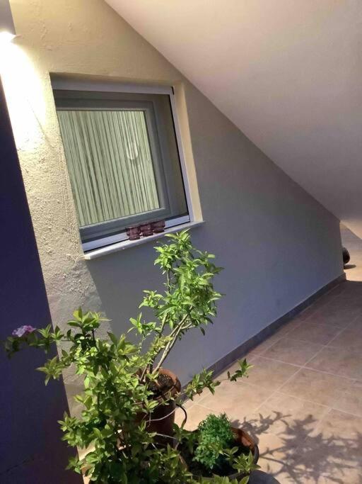 Ng Luxury Apartments At Nea Kallikrateia No 1 Екстер'єр фото